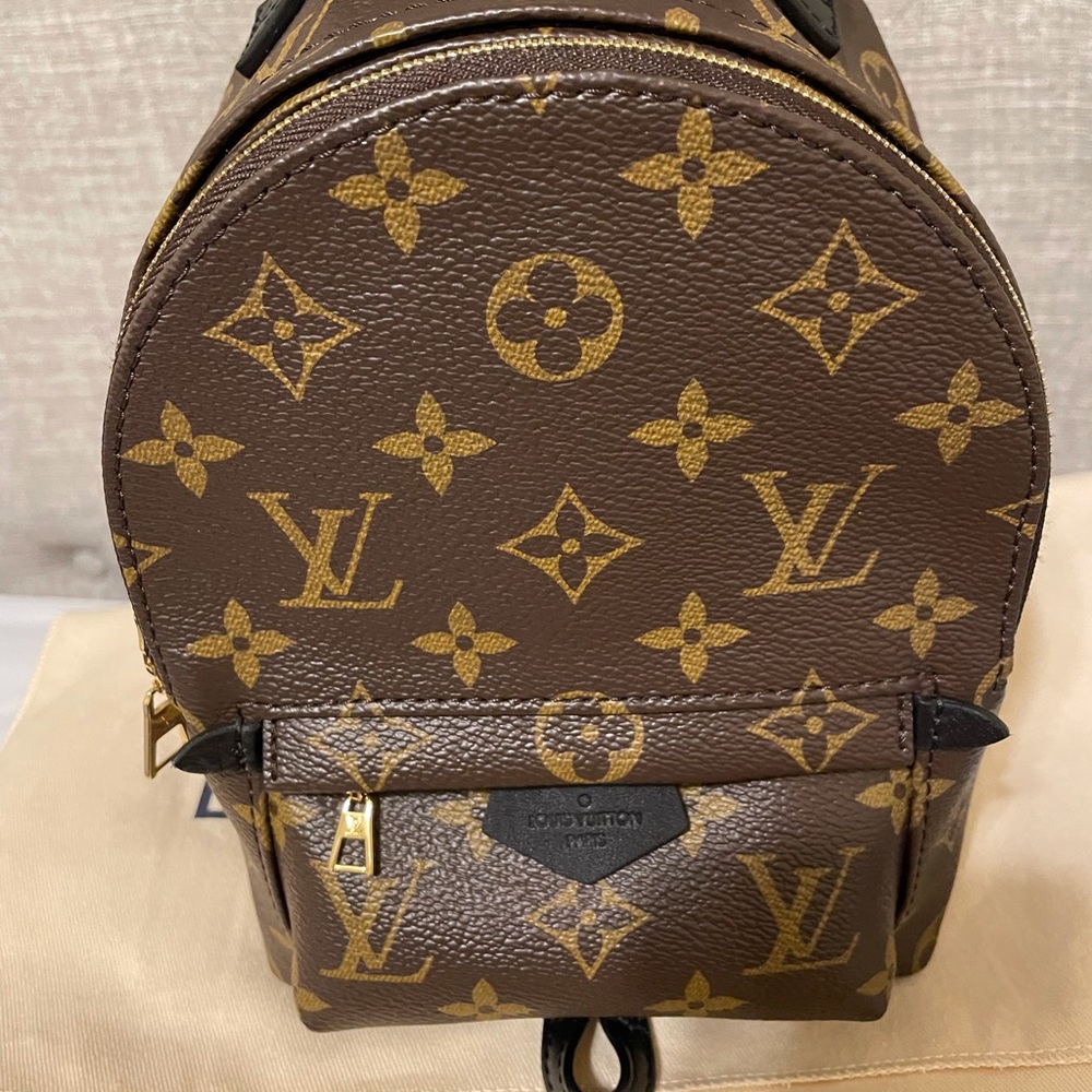 Louis Vuitton Palm Springs Mini